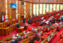 Senate Schedules Emergency Plenary Amid Debate on Electronic Transmission of Results