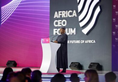 African countries losing jobs, skills through raw resource exports – Abdul Samad Rabiu