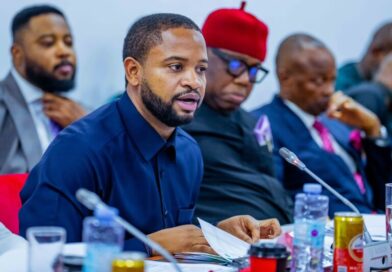 Senate panel, SEDC management clash over N16.6bn allocation, N153m office expense