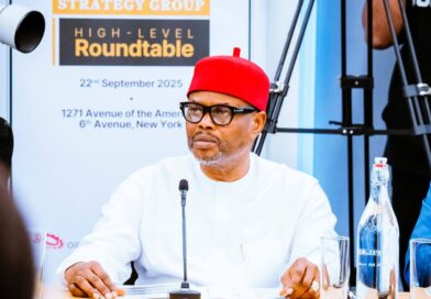 Ex-minister Uche Nnaji pleads not guilty to certificate forgery charges, gets N20m bail