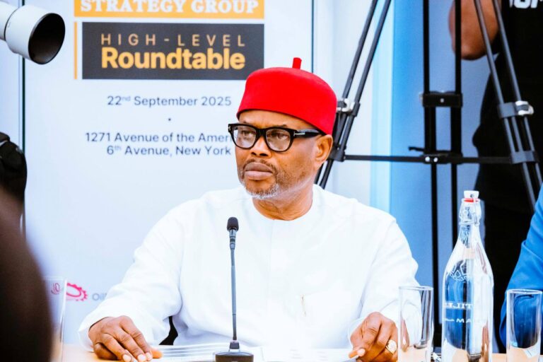 Ex-minister Uche Nnaji pleads not guilty to certificate forgery charges, gets N20m bail