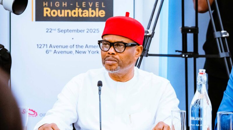 Ex-minister Uche Nnaji pleads not guilty to certificate forgery charges, gets N20m bail