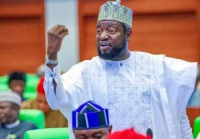 Tinubu has not ended insecurity, but efforts deserve recognition, says APC lawmaker