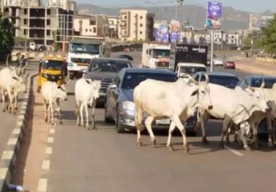 FG plans digital registration of cattle, livestock to curb rustling