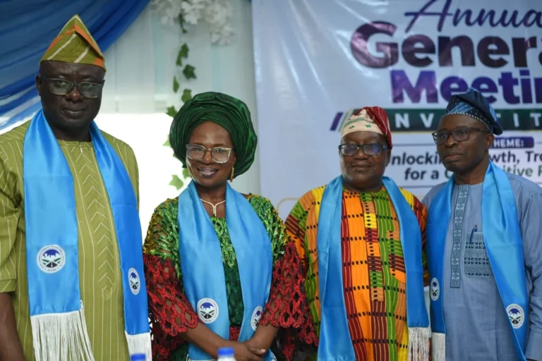 Ige Emerges AKCCIMA President, Succeeds Funmi Ade-Ojo