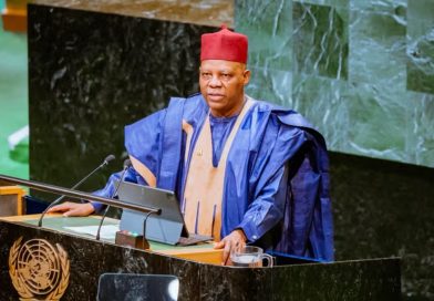 Shettima warns against propaganda shielding aggressors from justice