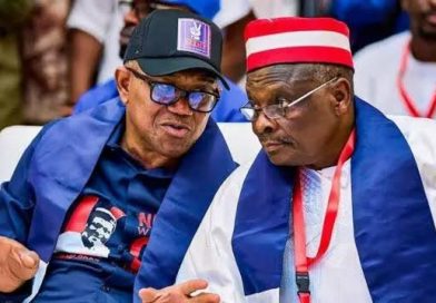 Kwankwaso defends Obi, says Shettima was wrong over ‘bogus statistics’ remark